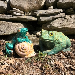 450x450_new_2Frogs
