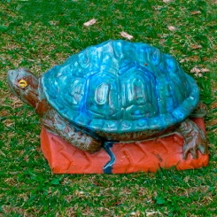 turtle01cc