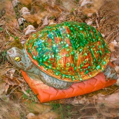 turtle02cc_left